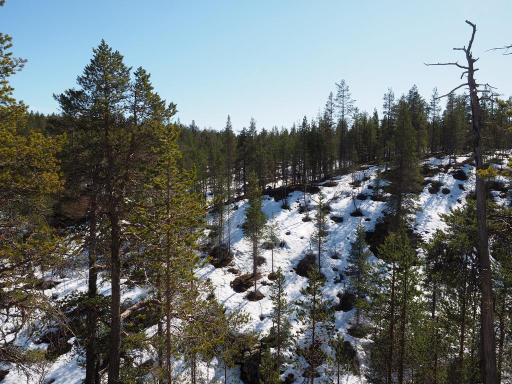 Kelotaehti Apartments Saariselkä Buitenkant foto